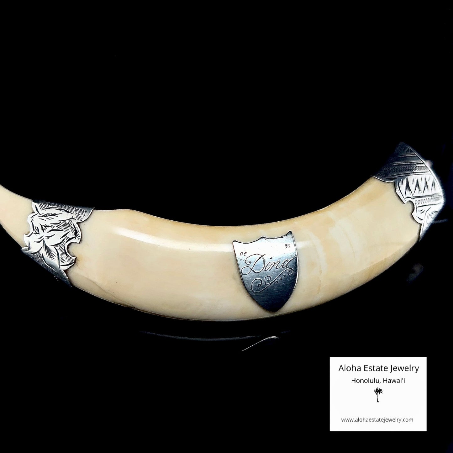 Antique Victorian Hawaiian Boar Tusk Brooch Sterling Silver "Dina"