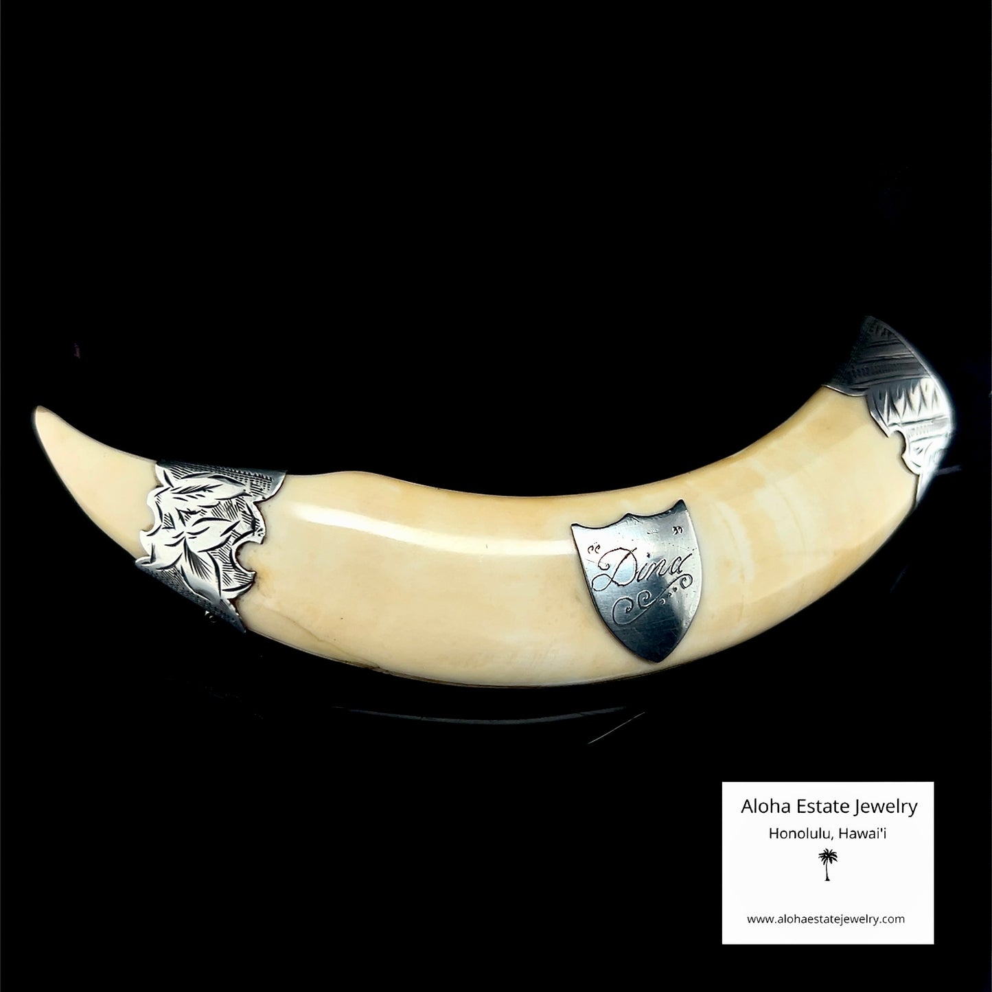 Antique Victorian Hawaiian Boar Tusk Brooch Sterling Silver "Dina"