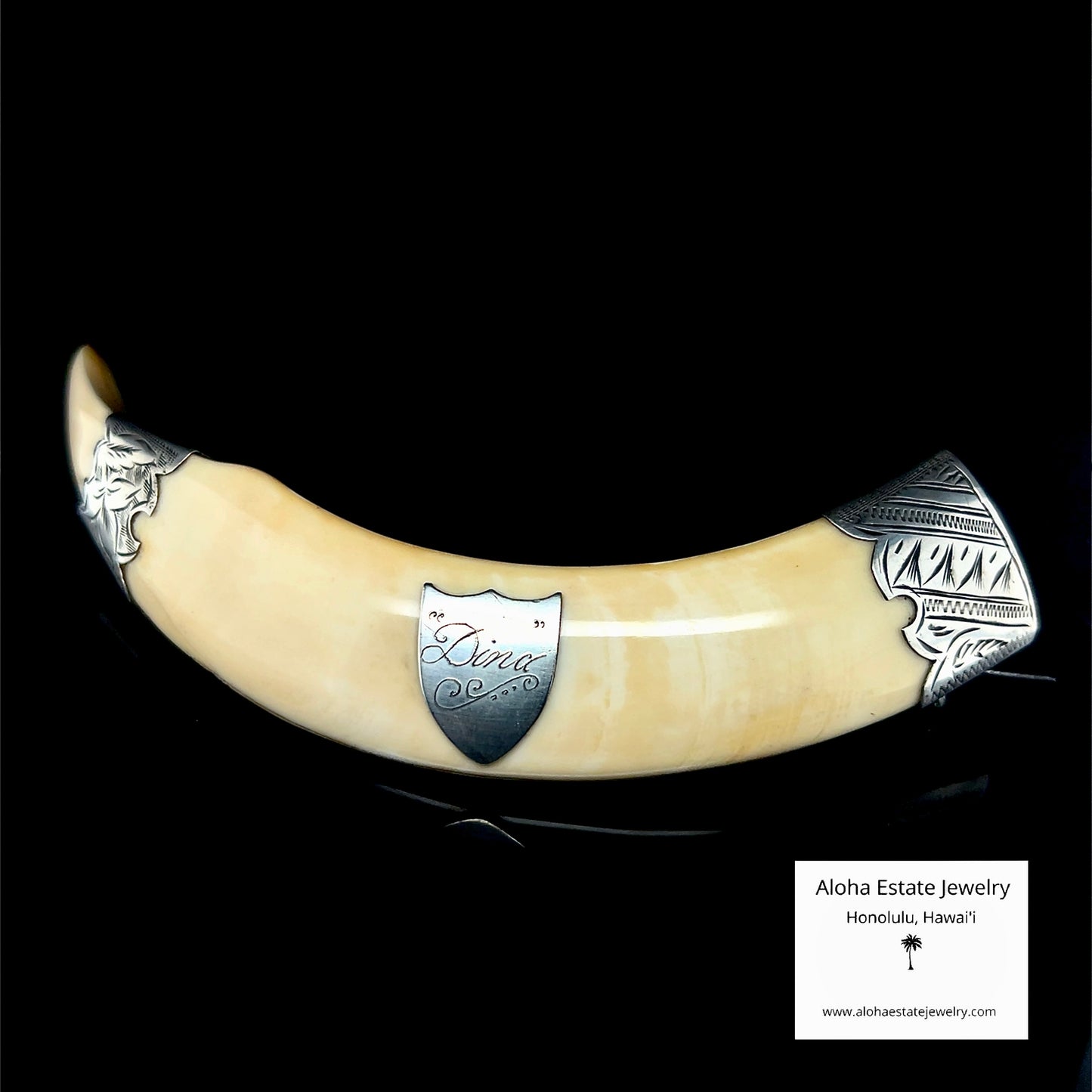 Antique Victorian Hawaiian Boar Tusk Brooch Sterling Silver "Dina"