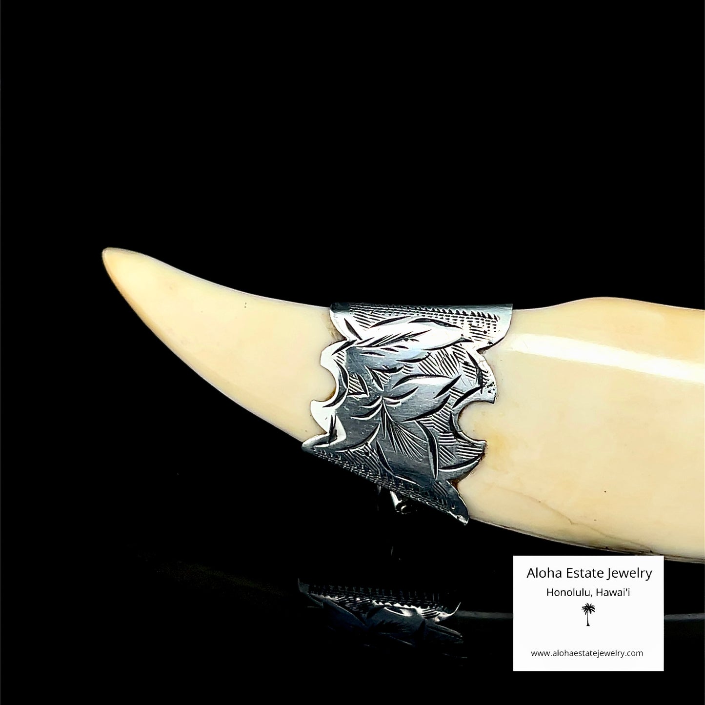 Antique Victorian Hawaiian Boar Tusk Brooch Sterling Silver "Dina"