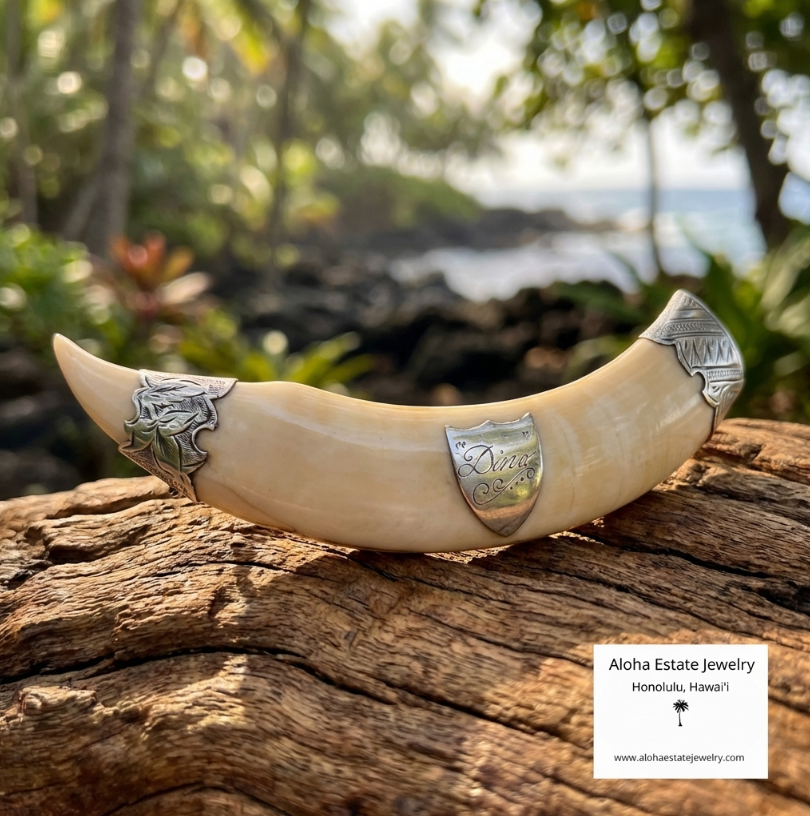 Antique Victorian Hawaiian Boar Tusk Brooch Sterling Silver "Dina"