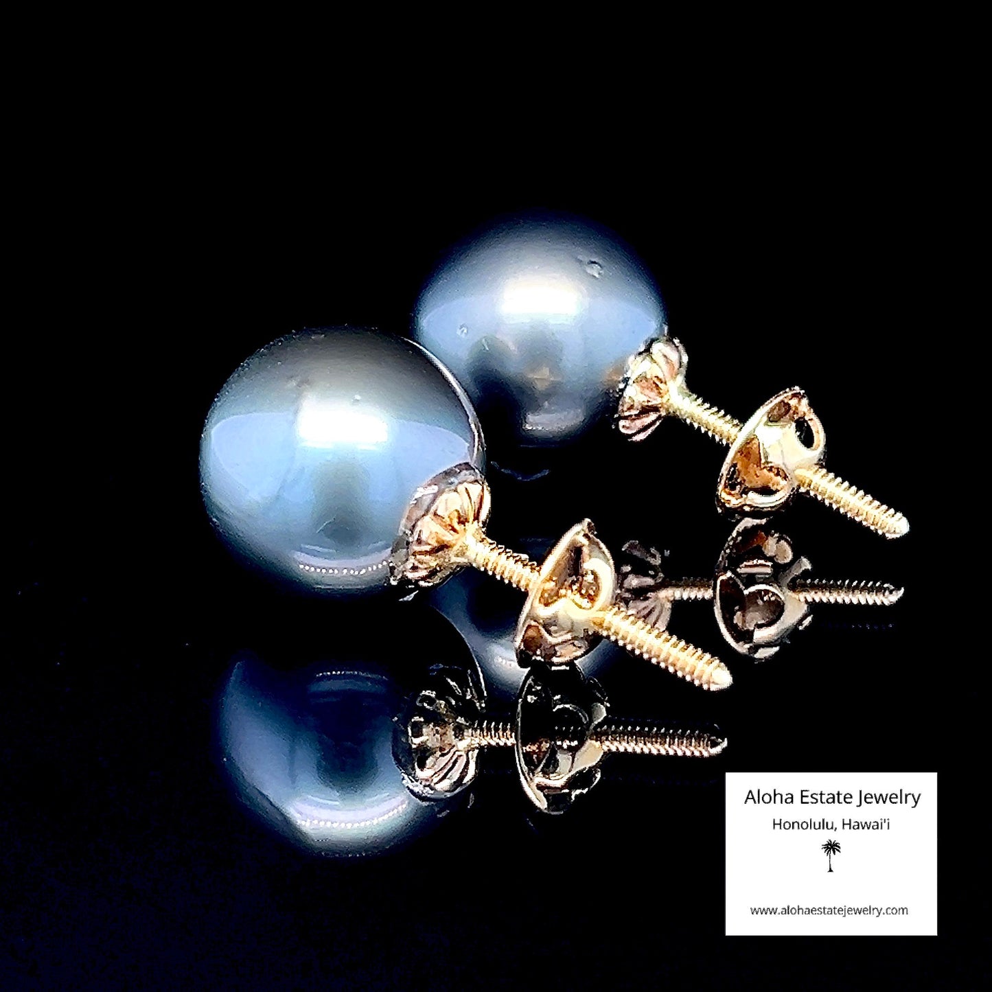 Impressive 13mm Tahitian Pearl Stud Earrings in 14k Yellow Gold Heavy Screw Backs